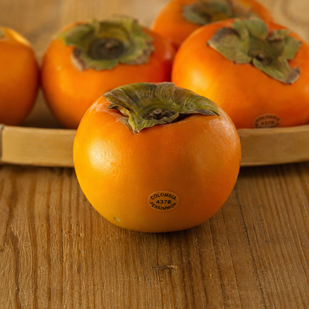 Japanese Persimmon Extract